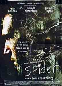 Spider 14254