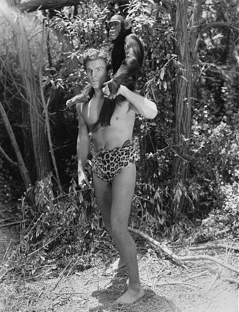 Tarzan the Fearless 15313