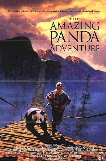 The Amazing Panda Adventure 141293