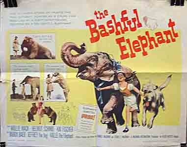 The Bashful Elephant 4110