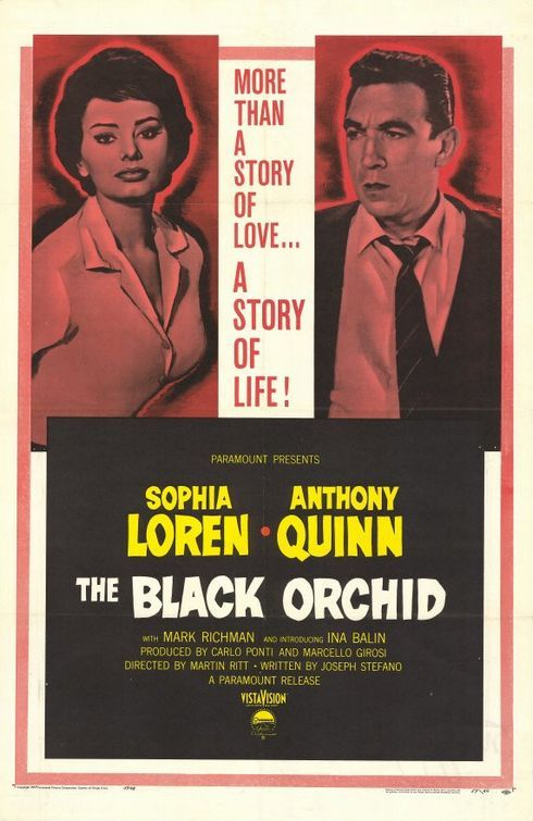The Black Orchid 146302