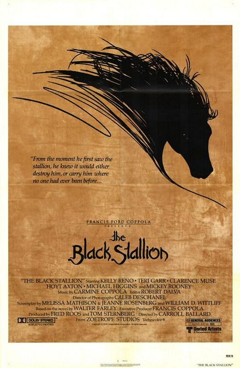 The Black Stallion 144420