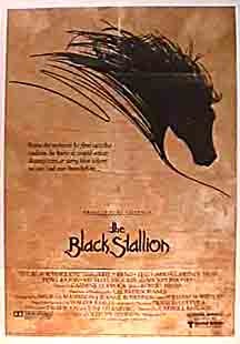 The Black Stallion 8199