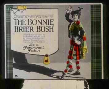 The Bonnie Brier Bush 3302