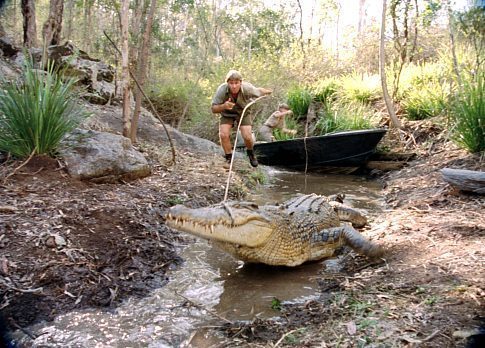 The Crocodile Hunter: Collision Course 70221