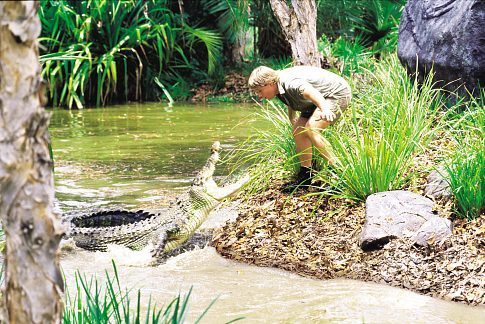 The Crocodile Hunter: Collision Course 71650