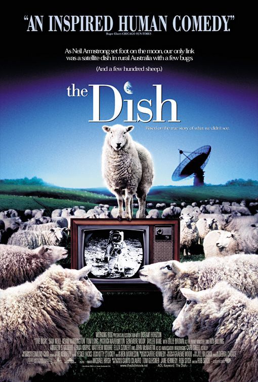The Dish 141387