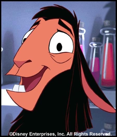 The Emperor's New Groove 32809