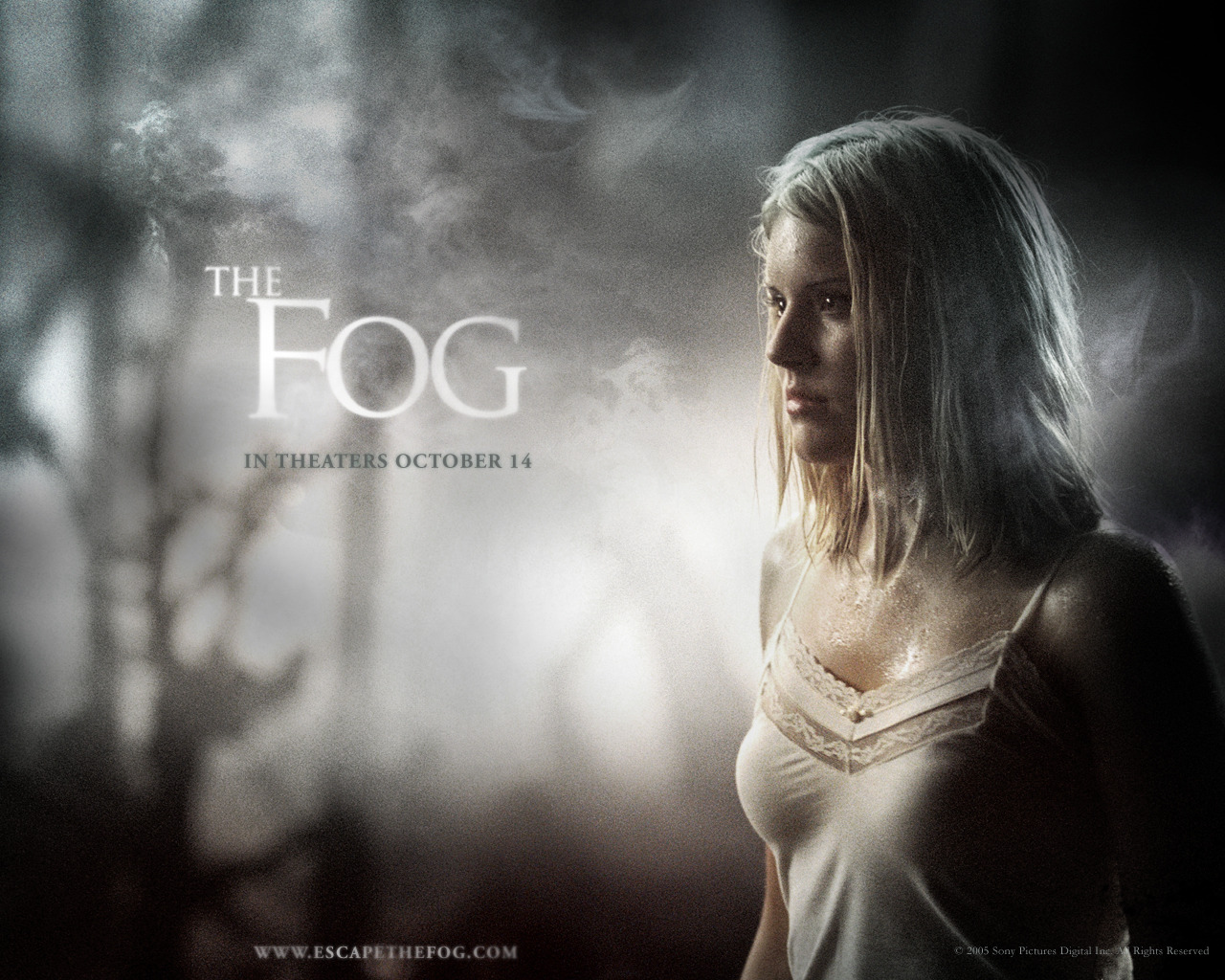 The Fog 151110