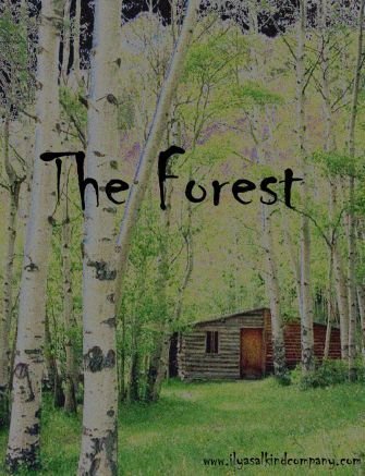 The Forest 99269