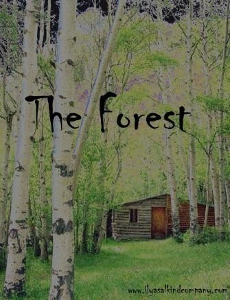 The Forest 99272