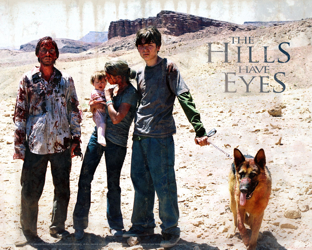 The Hills Have Eyes 151533