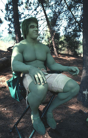 "The Incredible Hulk" 22641