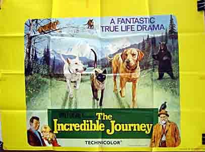 The Incredible Journey 7645