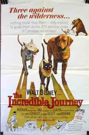 The Incredible Journey 7646