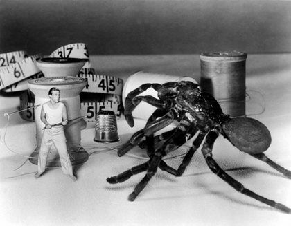 The Incredible Shrinking Man 18115