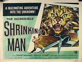 The Incredible Shrinking Man 1854