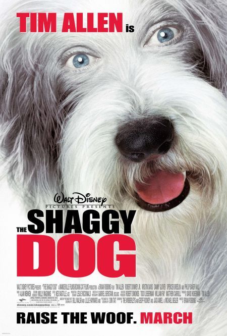 The Shaggy Dog 98398