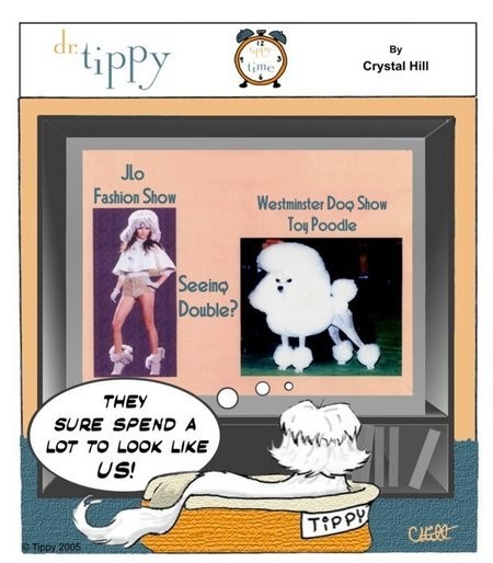 The Tippy Story 118360