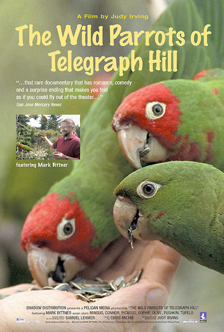 The Wild Parrots of Telegraph Hill 109561