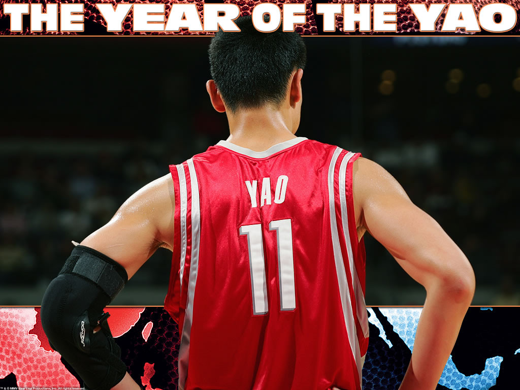 The Year of the Yao 150172