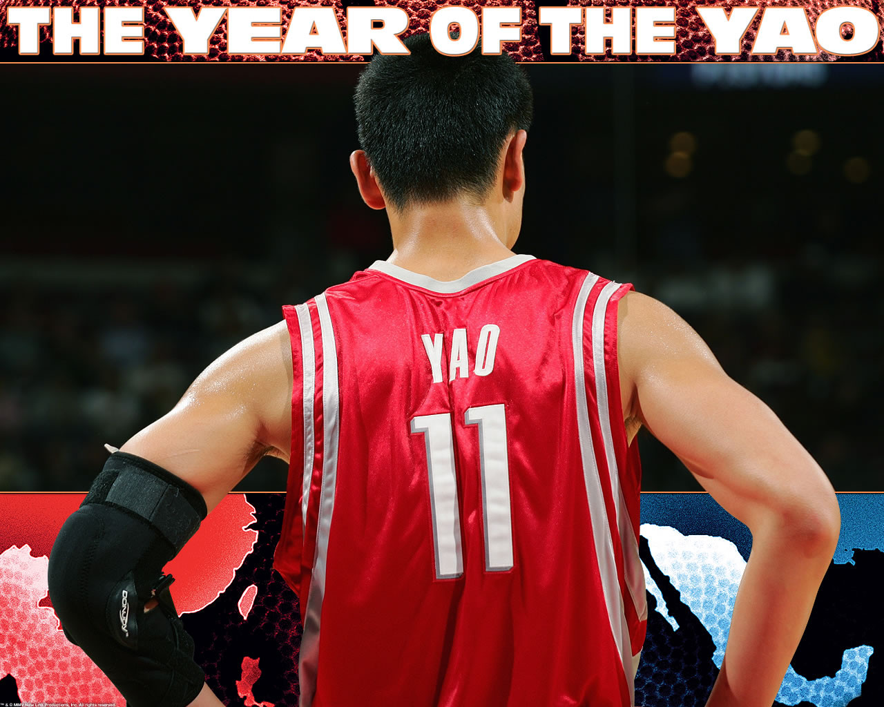 The Year of the Yao 150173