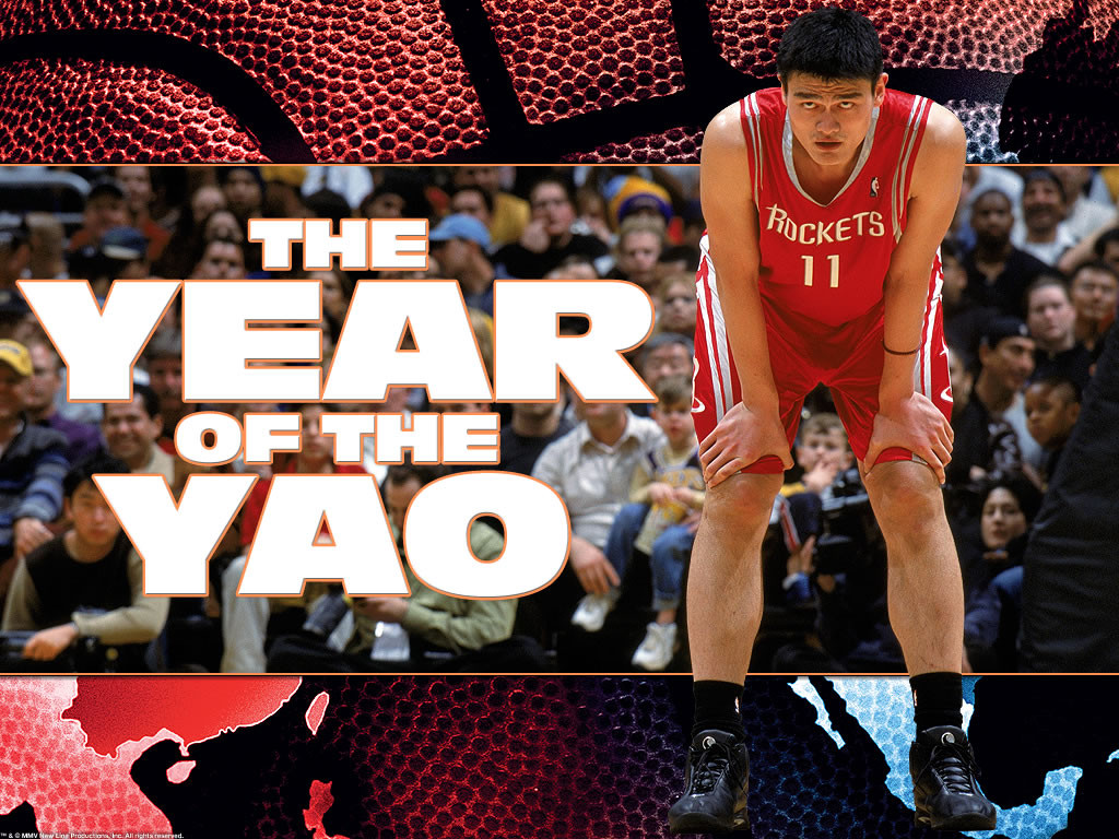 The Year of the Yao 150178