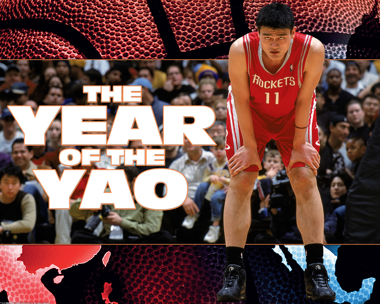 The Year of the Yao 150179