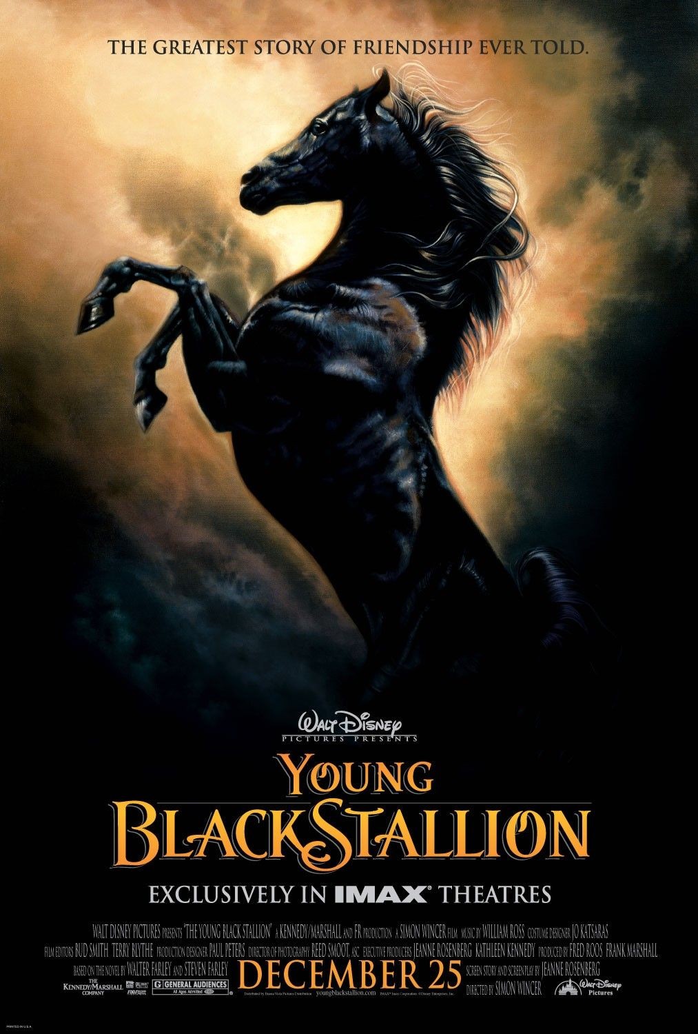 The Young Black Stallion 138092