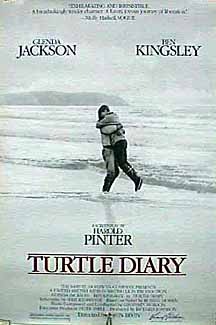 Turtle Diary 8675