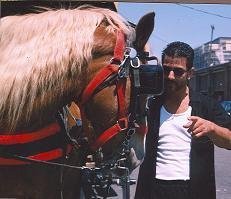 Andre DeRiso 11996