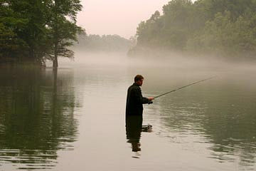 Big Fish 72054