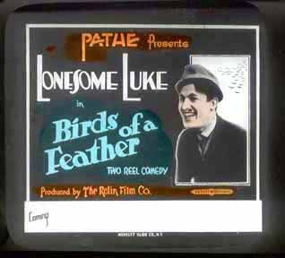 Birds of a Feather 3009