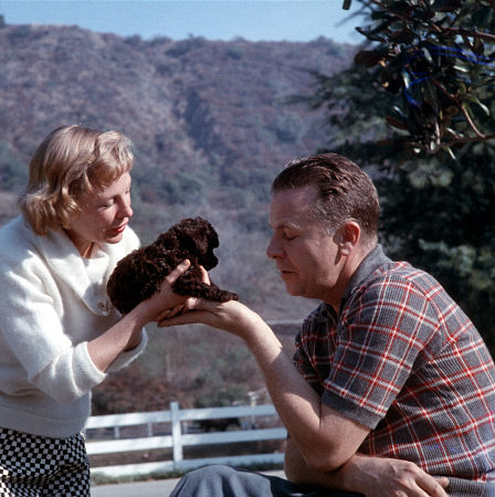 Dick Powell 330930