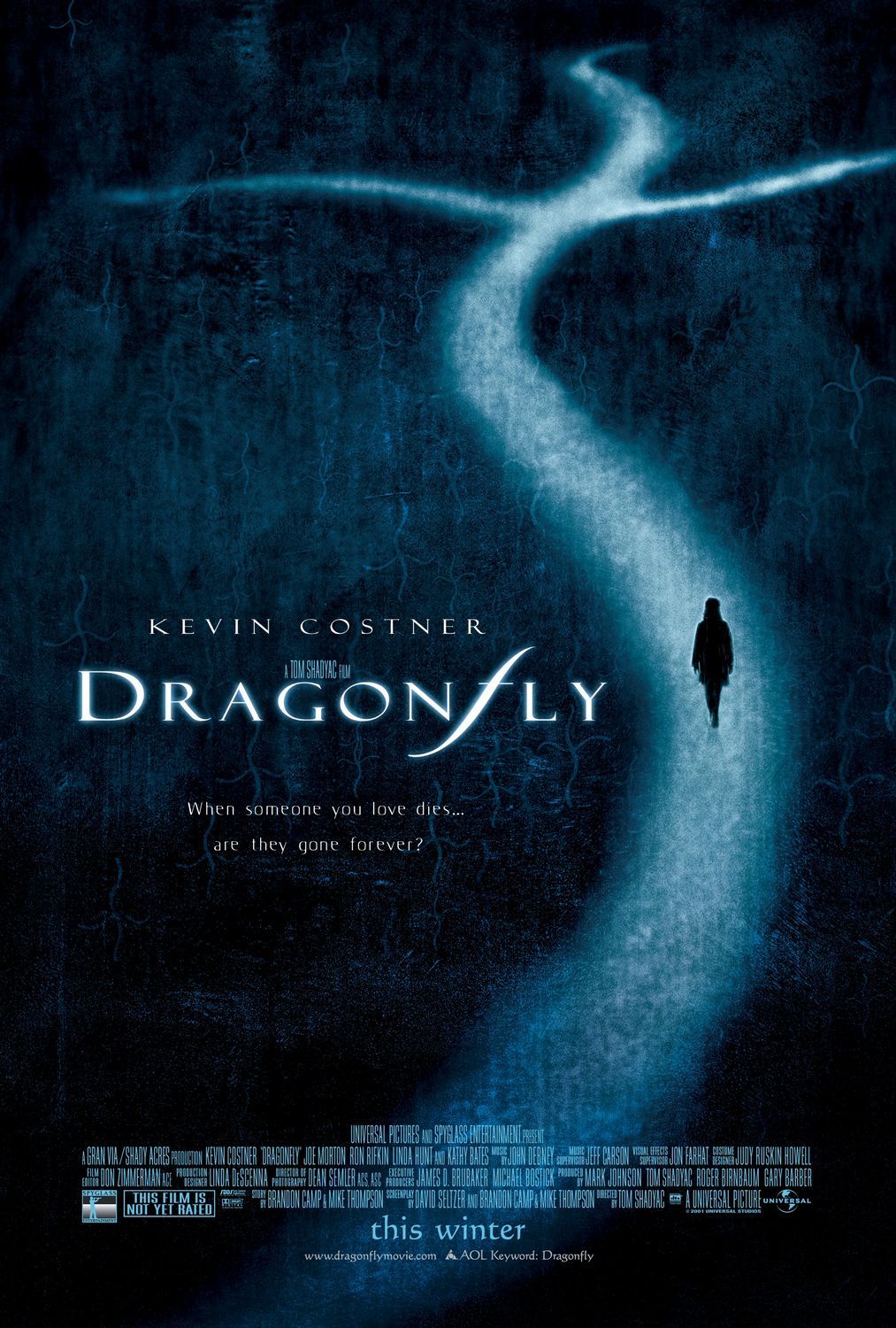 Dragonfly 140849