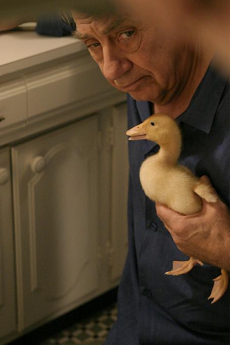 Duck 91889