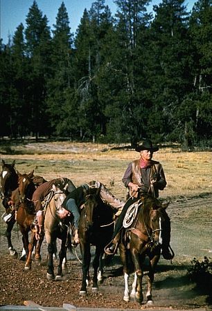 John Wayne 3763