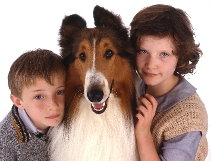 Lassie 107007
