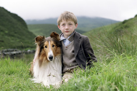 Lassie 109051