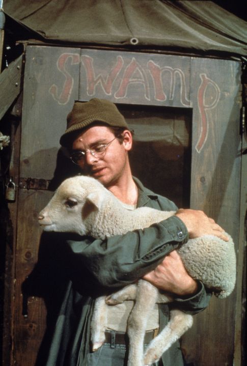 "M*A*S*H" 25422