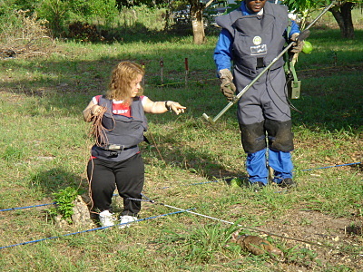 "The Amazing Race" 64802