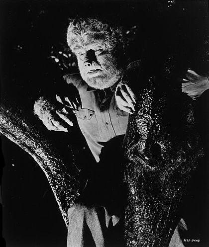 The Wolf Man 21035