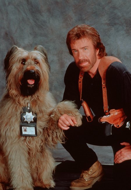 Top Dog 24954